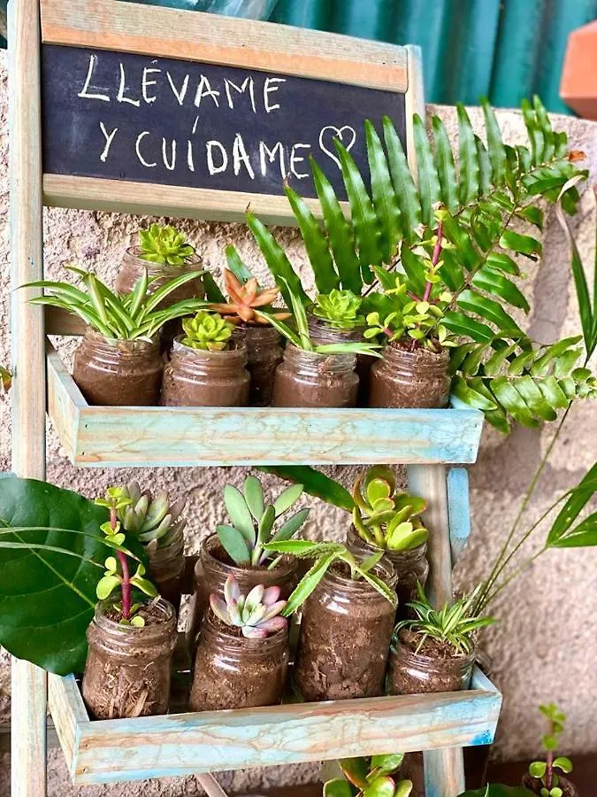 Macaronesia Love Spa, Sauna Y Piscina Buzanada